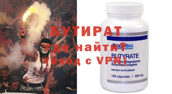 индика Гусев