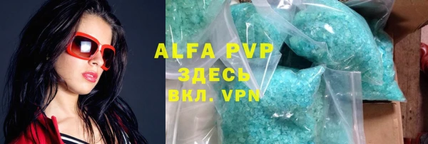 индика Гусев