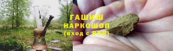 индика Гусев