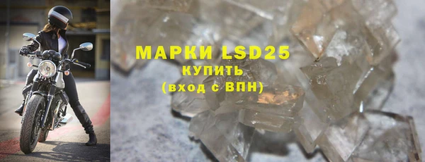 индика Гусев