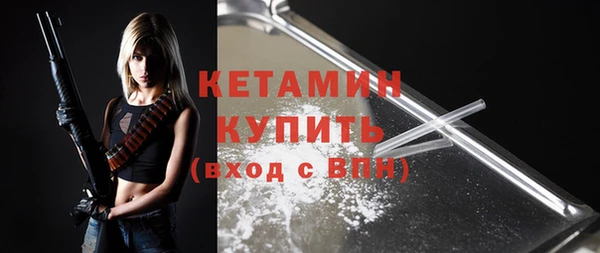 индика Гусев