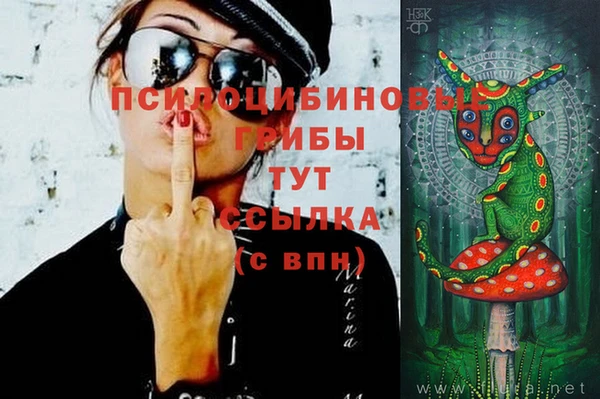 альфа пвп Гусиноозёрск