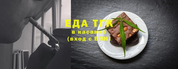 индика Гусев