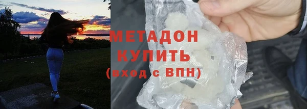 индика Гусев