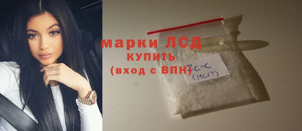 индика Гусев