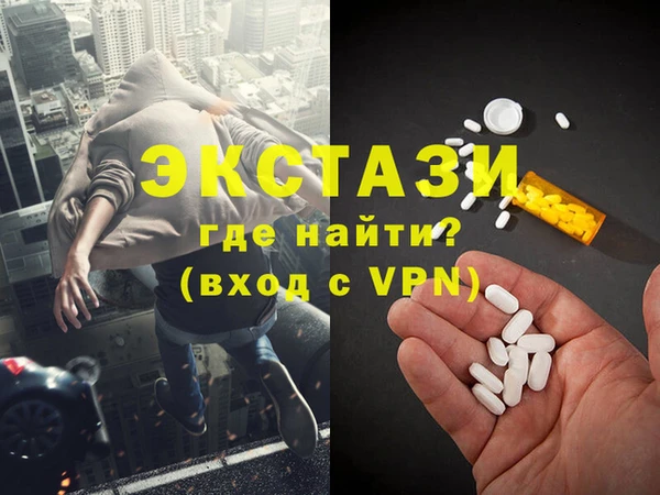 индика Гусев