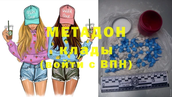 индика Гусев