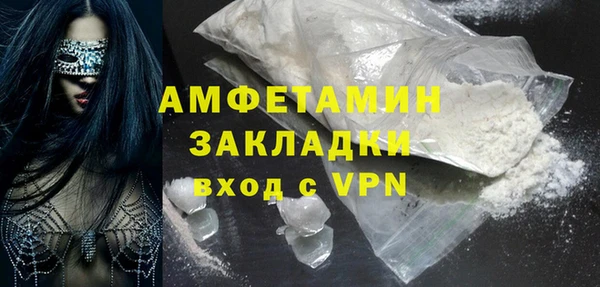 индика Гусев