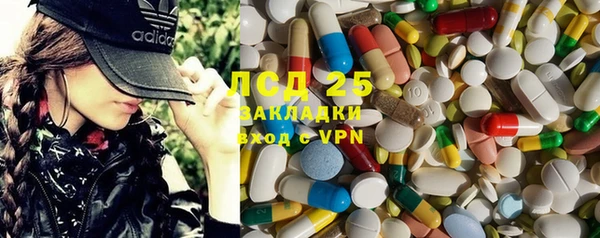 индика Гусев