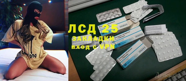 индика Гусев