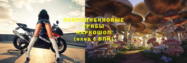 индика Гусев