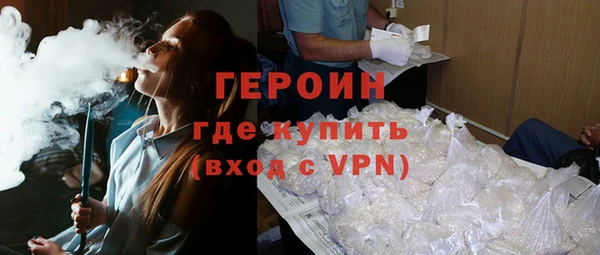 индика Гусев